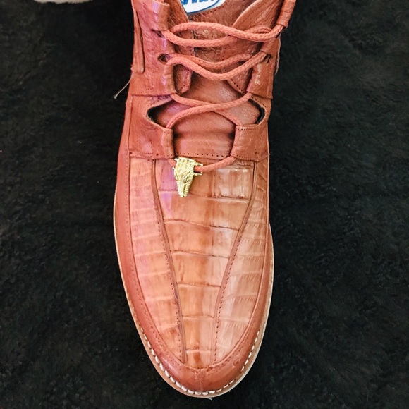 COPY - Gators - Picture 2 of 8